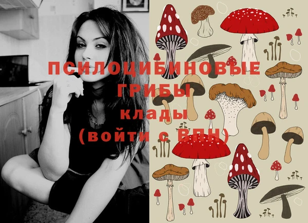 кокс Абдулино