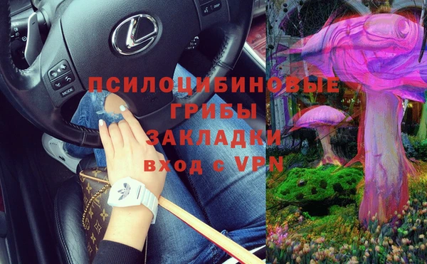 винт Абаза