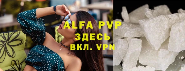 винт Абаза