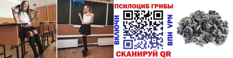 Галлюциногенные грибы прущие грибы Чегем